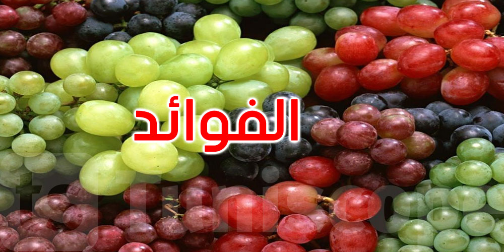 بين الأحمر والأخضر... أي نوع من العنب يمنحك فوائد صحية أكبر؟