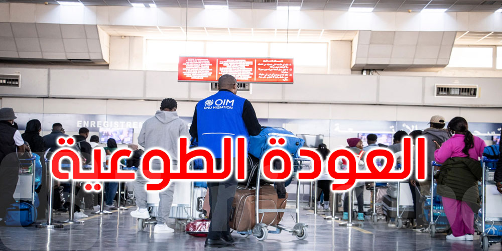  المنظمة الدولية للهجرة: تأمين العودة الطوعية لـ 309 مهاجرا من تونس إلى غينيا وكوت ديفوار
