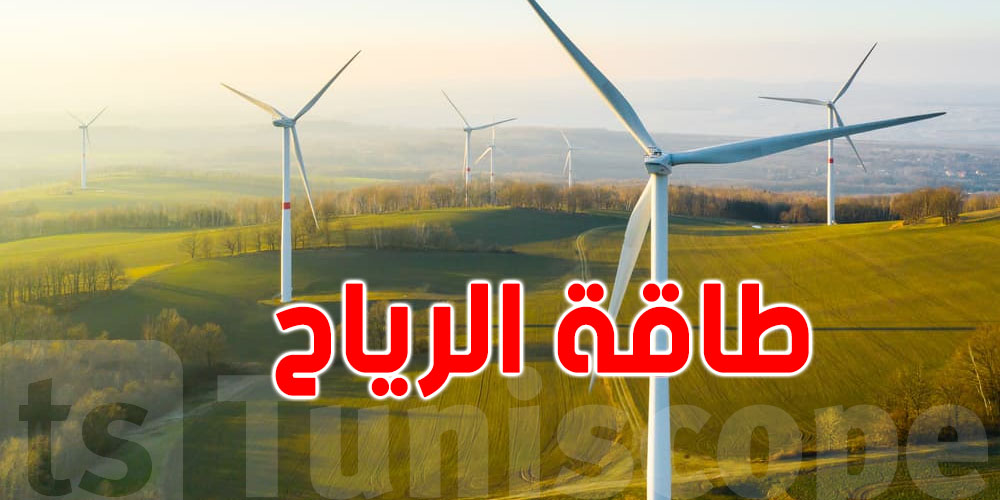 تونس تخطّط لمشاريع كبيرة في طاقة ''الرياح''