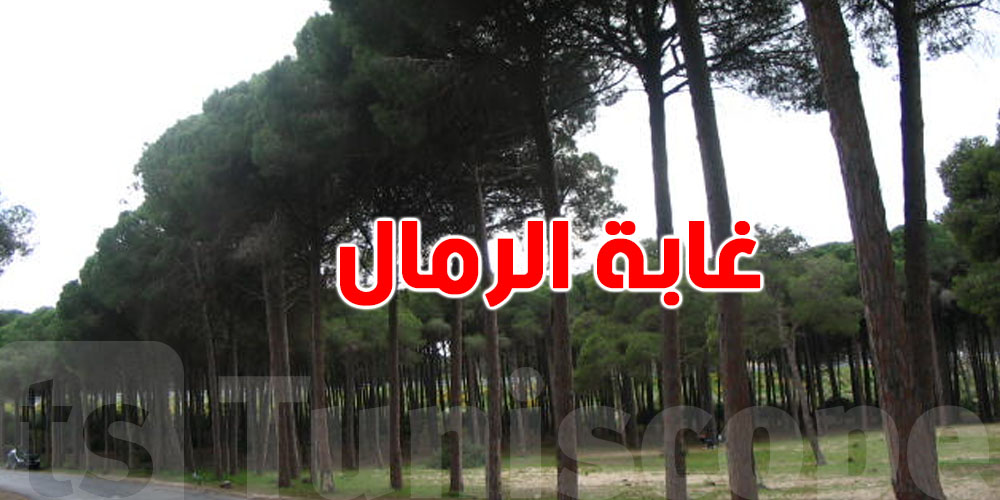 شنّوة صاير في غابة الرمال تدخلات قعدت أكثر من 5 ساعات!