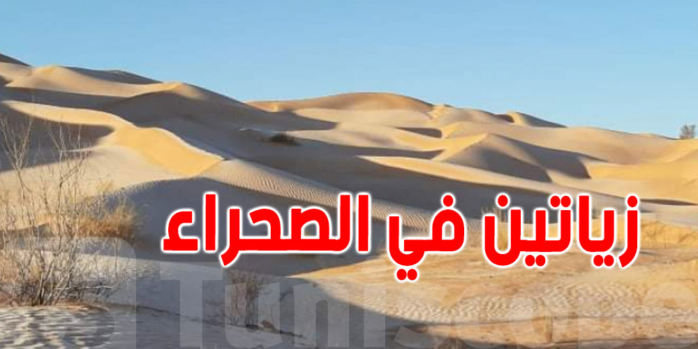 تطاوين: تمويل سعودي لإحداث قطب زياتين بالصحراء