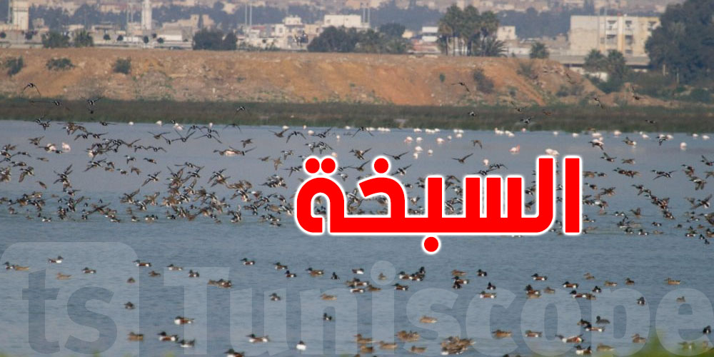 خبر باهي للمتساكنين: البلدية بدأت في مداواة الناموس في سبخة السيجومي