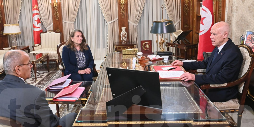 سعيّد يأمر بالإصلاح الفوري لمعهد الحامض الفسفوري بقابس