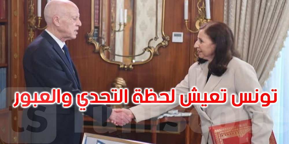 سعيّد: لا مجال للتفريط في المؤسّسات العمومية وسيتمّ تحميل المسؤولية القانونية كاملة لمن خرّبها 