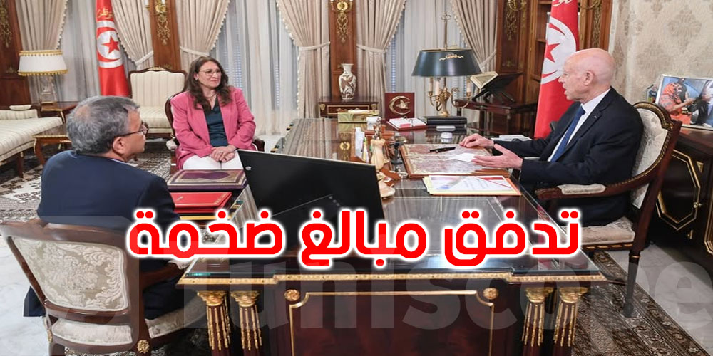 قيس سعيد: عديد القرائن تدلّ على تدفّق مبالغ ضخمة خارج الأطر القانونية