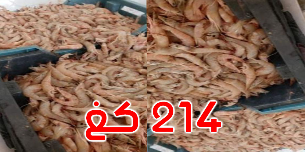 المنستير: حجز 214 كغ من جراد البحر و100 كغ من العسل مجهولة المصدر المنستير: حجز 214 كغ من جراد البحر و100 كغ من العسل مجهولة المصدر
