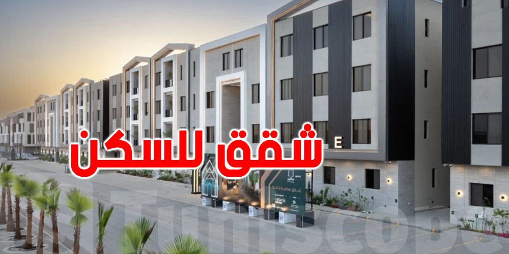 المرسى الأكثر طلبًا في تونس: شريحة كبيرة من الباحثين عن السكن تختارها