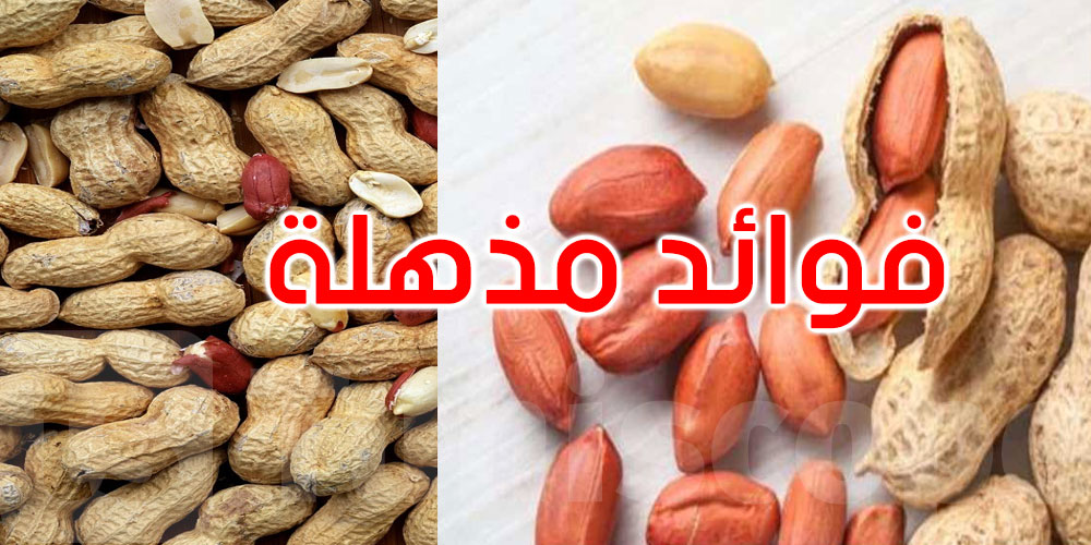 وجبة خفيفة يوميا.. تؤدي إلى قوة الذاكرة لاحقا... اكتشفها