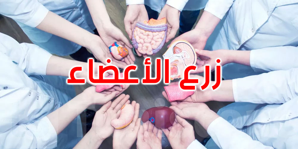   منصة رقمية، فرق مدعمة، وتكوين شامل: استراتيجية وطنية جديدة لزرع الأعضاء