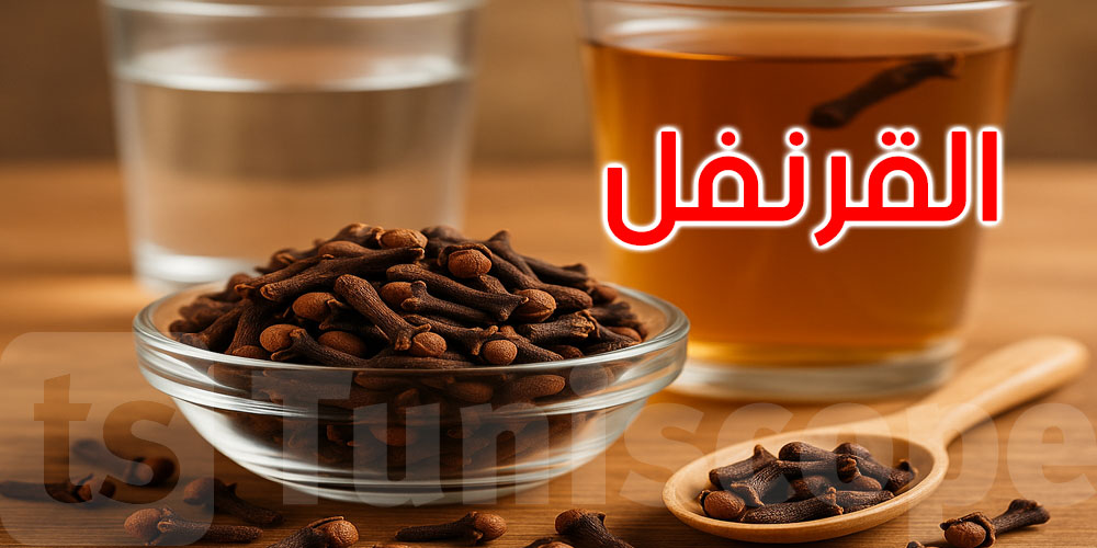 من المطبخ إلى الدماغ: هل تعرف كيف يؤثر القرنفل في الذاكرة والتركيز؟