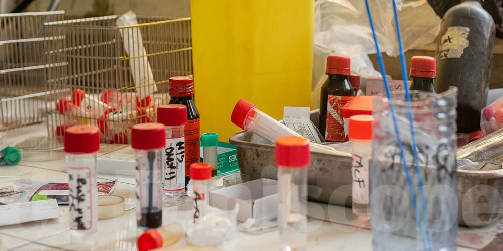 تونس تكرّس مقاربة ‘الصحة الواحدة’ لمجابهة مقاومة المضادات الحيوية