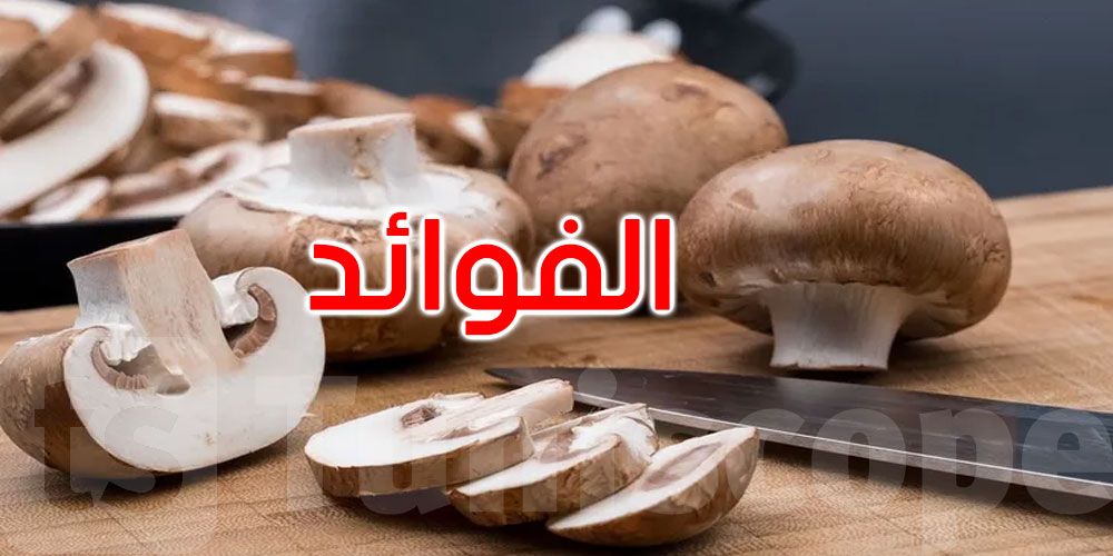  8 فوائد صحية للفطر تدعم القلب والمناعة وتقلل خطر السرطان... التفاصيل