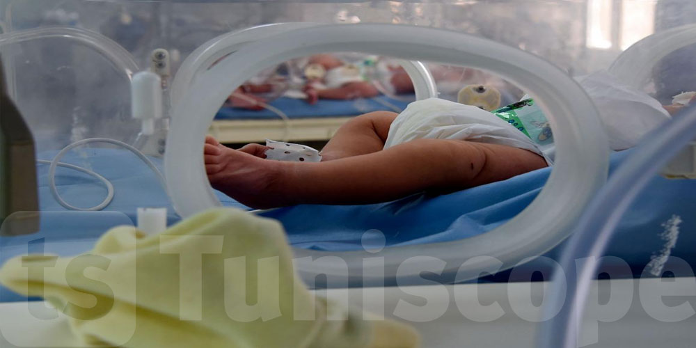   تجهيزات وتكوين وسجلّ إلكتروني: خطة متكاملة لتطوير الطبّ الإنجابي