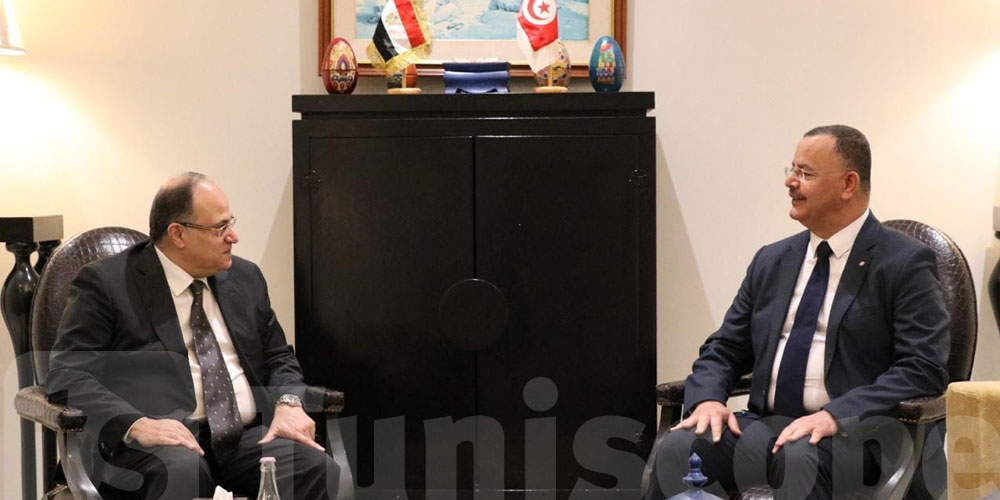 علي المرابط في لقاء مع مدير عام الوكالة الوطنية المصرية للدواء