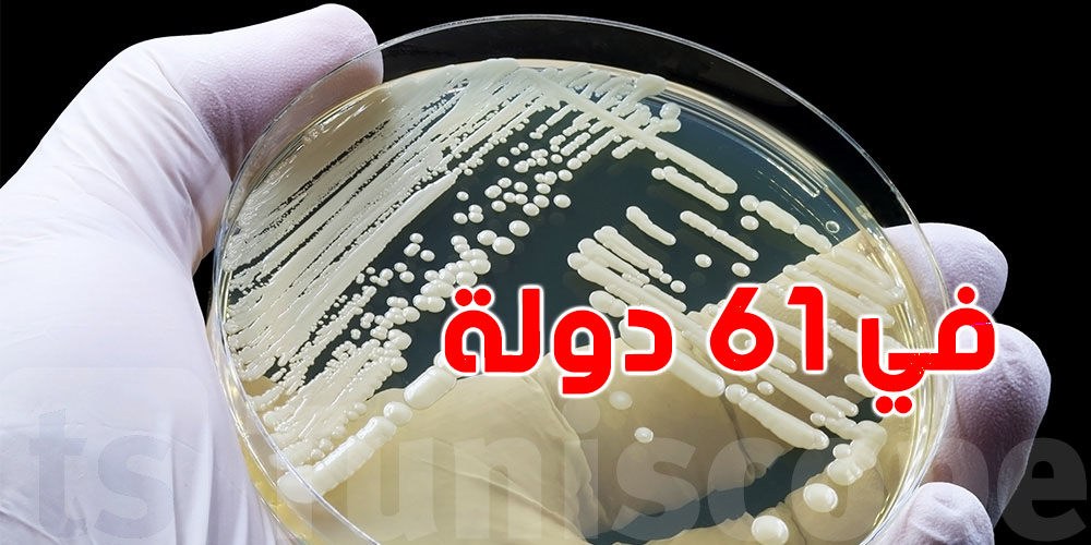 عاجل: فطر قاتل مقاوم للدواء ينتشر في 61 دولة ويهدد الصحة...شنوا الحكاية ؟