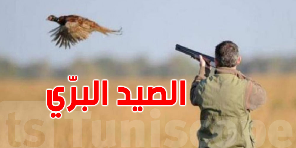 عاجل: غدا...الصيد البرّي ممنوع في هذه المناطق