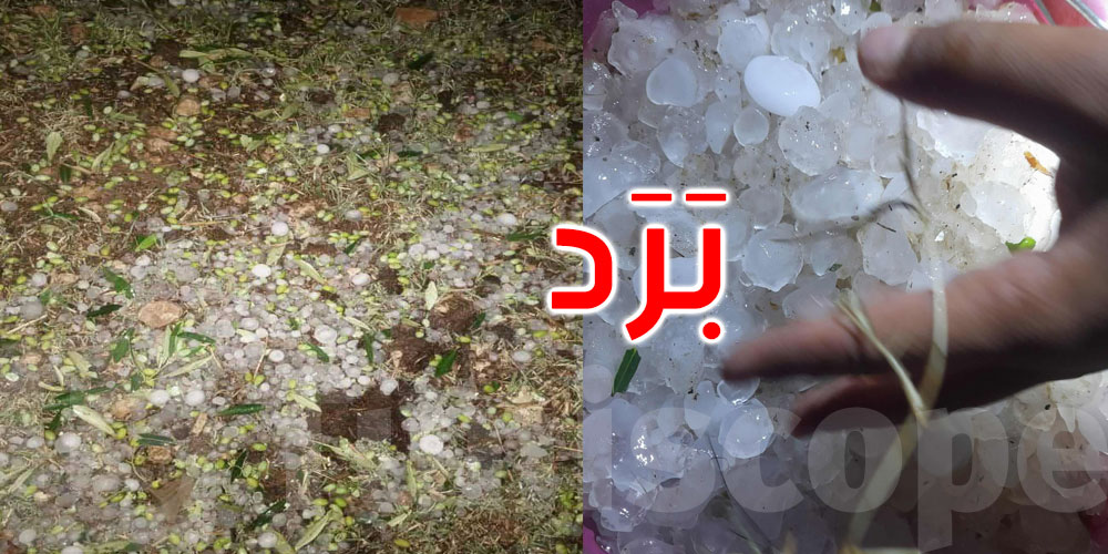 السبيخة: نزول كميات من الأمطار مرفوقة بحجر البرد بأحجام متفاوتة 
