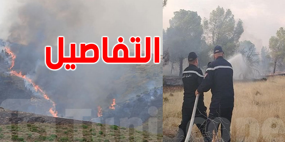 السيطرة على الحريق في جبل الدولاب بسبيطلة: التفاصيل الكل