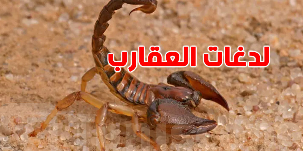 ردّ بالك: أخطاء قاتلة في إسعاف لدغات العقارب… تجنبها فوراً