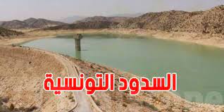 تونس : مخزونات المياه بالسدود تصل نسبة 35،1 بالمائة