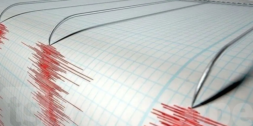 Un séisme de magnitude 6,4 frappe le sud du Japon