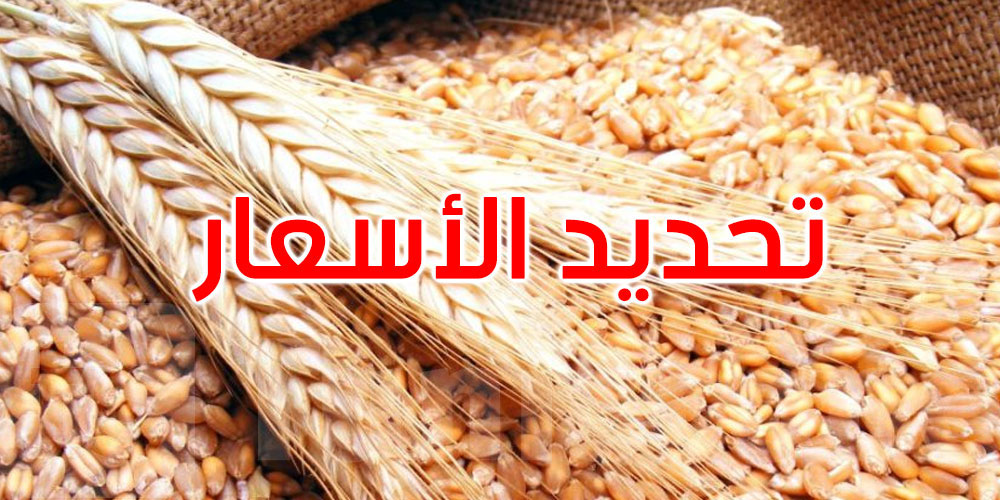 القمح الصلب بـ170 دينار واللين بـ140 دينار: وزارة الفلاحة تُحدّد أسعار البذور