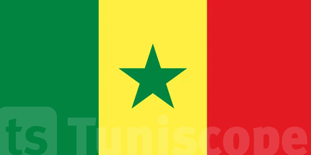 السنغال تعتمد العربية لغة رسمية بدل الفرنسية