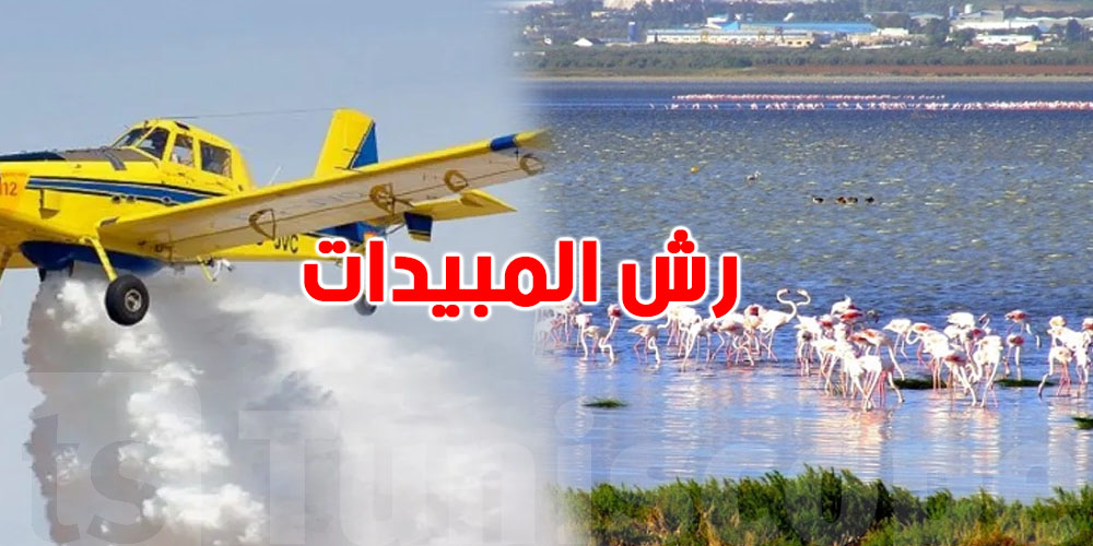 عاجل: والي تونس يعلن برنامج مكافحة الحشرات بداية من هذا التاريخ..وينبّه مربي النحل