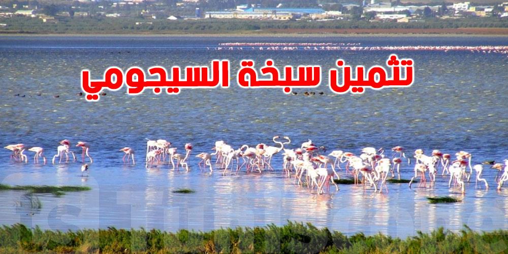 بحيرة السيجومي تتغيّر: مشروع ضخم بـ3 ملايين دينار يبدأ قريبًا!