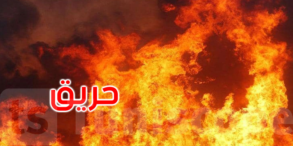  سليانة: السيطرة على حريق وادي الصابون بمكثر