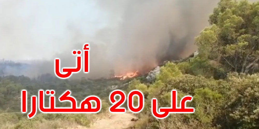 سليانة: السيطرة على حريق جبل لشيهب 