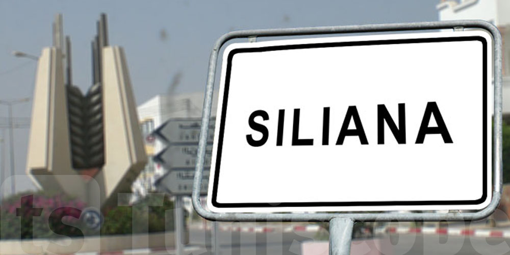  Siliana frappée par de fortes pluies : inondations et effondrement d’un mur scolaire