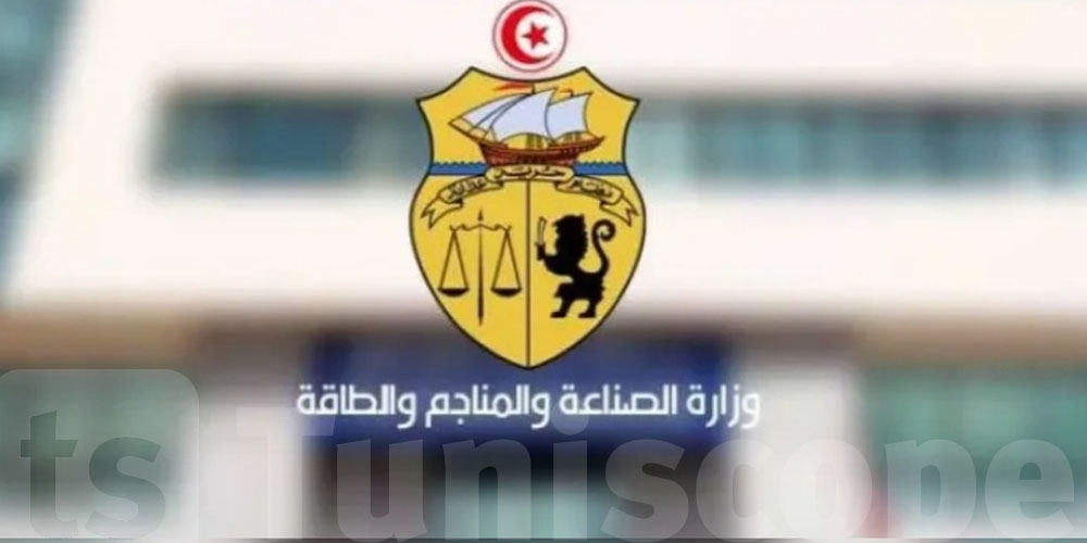 وزارة الصناعة تمنح رخصة بحث عن المواد المعدنية 