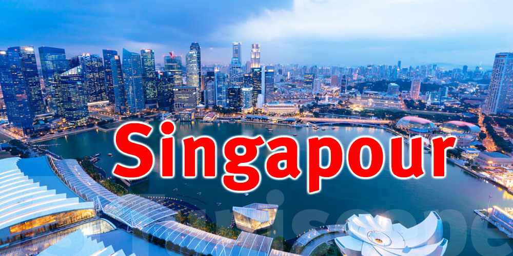 Nouveau classement des passeports les plus puissants au monde… Singapour en tête