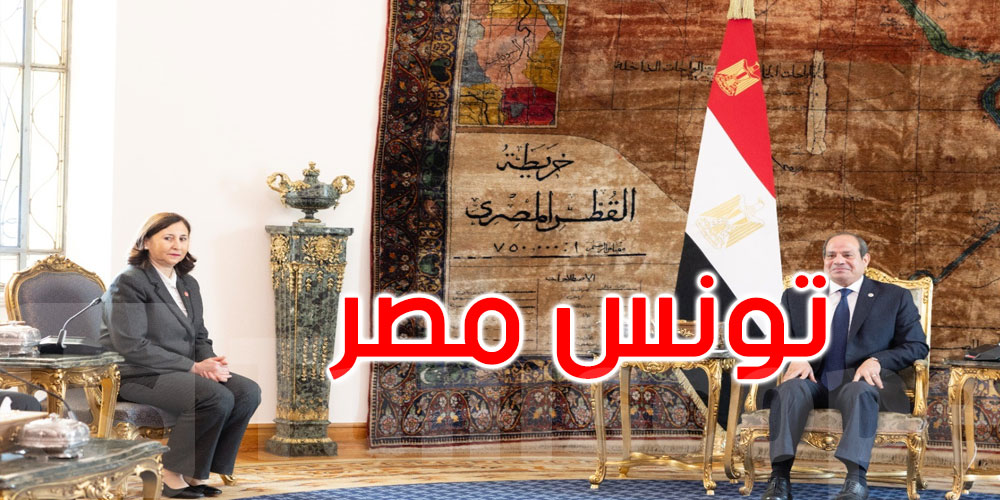   السيسي يستقبل الزعفراني الزنزري: دعم متواصل للعلاقات التونسية المصرية