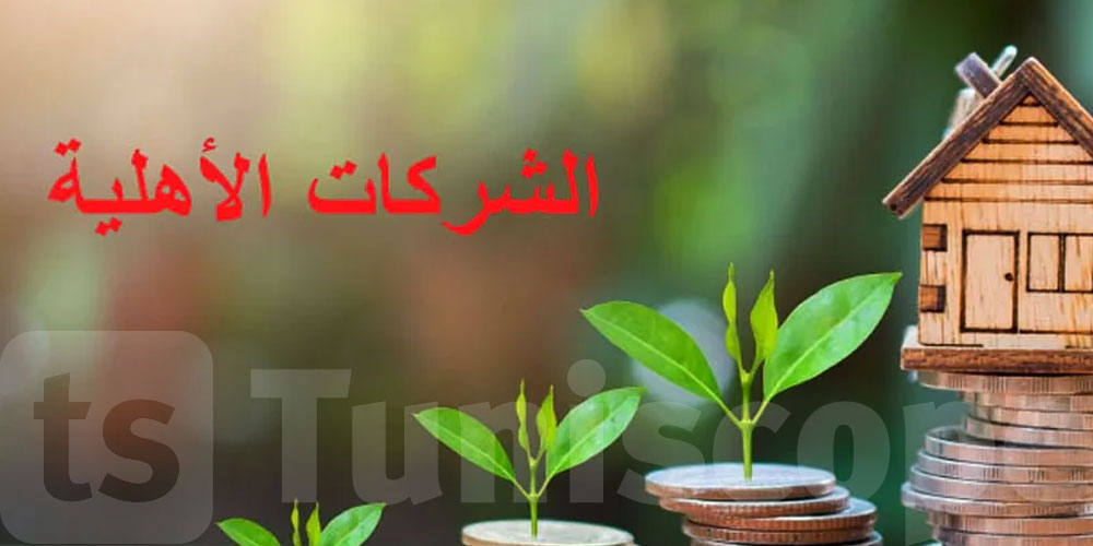 المنصة الرقمية الخاصة بالشرّكات الأهليّة: هذه أبرز أهدافها