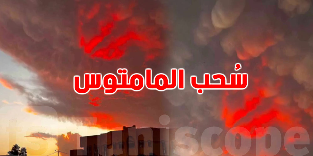 سحب الماماتوس في القيروان.. ظاهرة خوّفت التوانسة وهذا تفسير الخبير عامر بحبة
