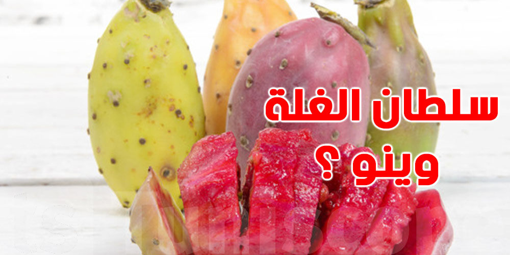 ''سلطان الغلة''...محبوب التونسيين مهدد بالغياب...شنوا الحكاية ؟