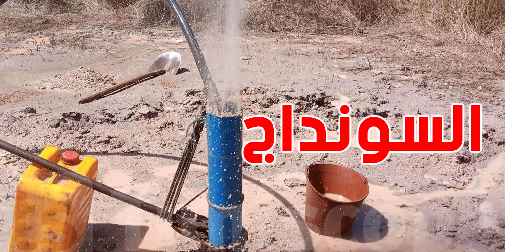 باش تحفر ''سونداج'' في دارك: الوثائق والخطوات