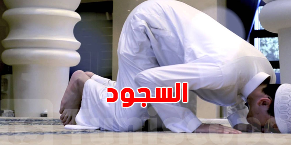 علاش يتكرر السجود مرتين في كل ركعة؟ الحكمة والفضائل