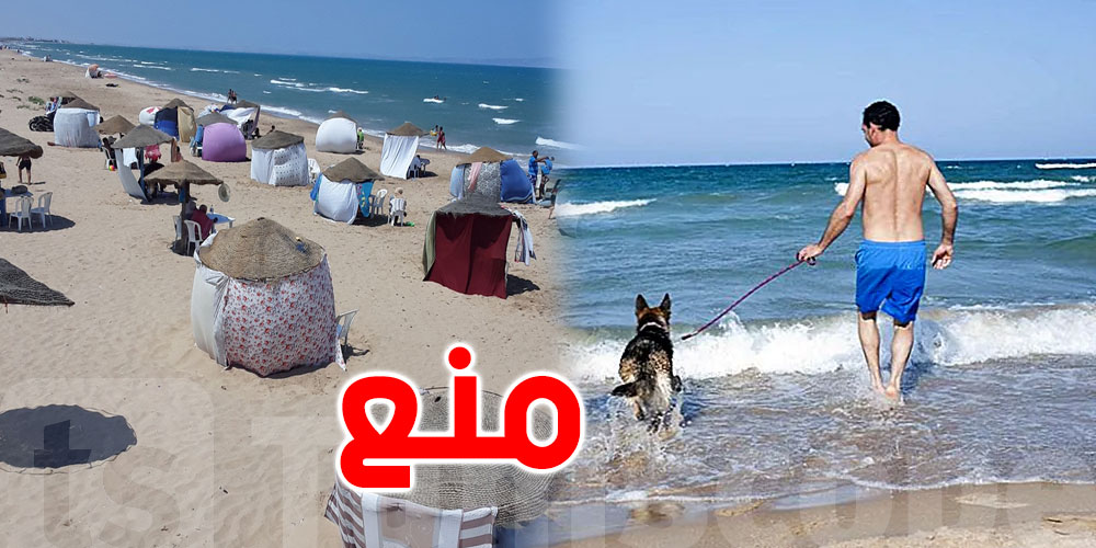 سوسة: منع إدخال الكلاب للبحر وتركيز الأكواخ