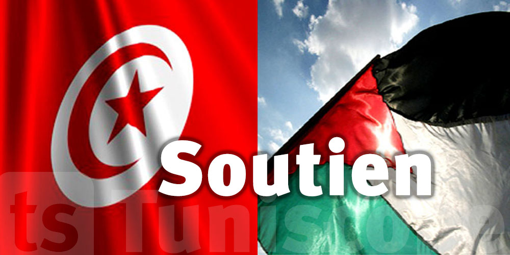 La Tunisie demande à l'OCI d'agir contre l'agression Israélienne et de dénoncer les médias trompeurs