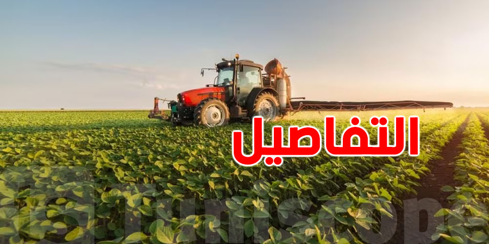 إجراءات استثنائية لمساعدة الفلاحين على تجاوز أعباء فواتير الطاقة.. التفاصيل والخطوات
