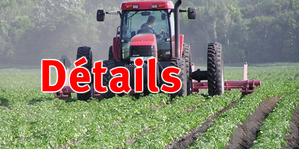 STEG étend l’échelonnement des dettes aux agriculteurs bénéficiaires du tarif de pompage