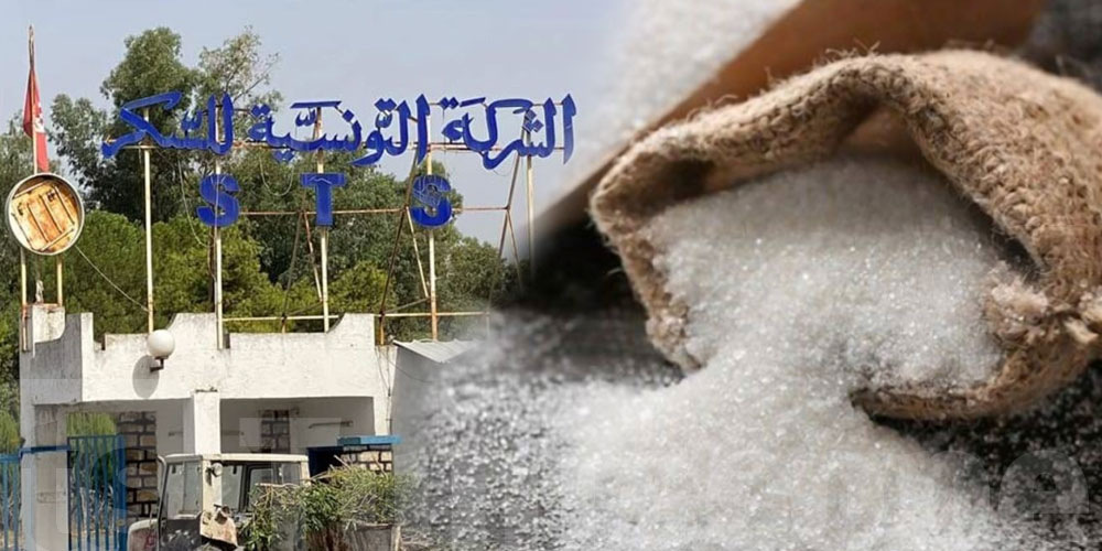 بعد عام ونصف من التوقف.. مصنع السكر بباجة يعود للإنتاج وتزويد السوق