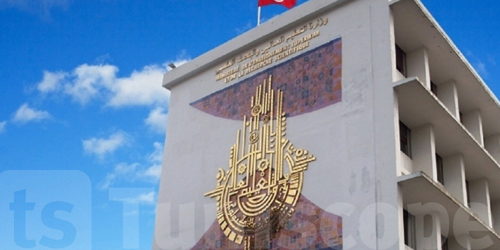 عاجل : وزارة التعليم العالي تعلن عن انتدابات جديدة 