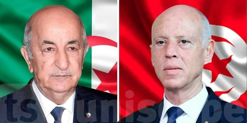 تبون: علاقات الجزائر مع الجوار قوية ولا تدخل في شؤون تونس