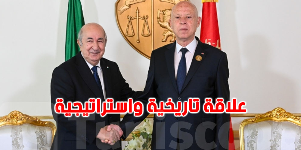 تبّون: يُحاولون زرع الفتنة بين الجزائر وتونس