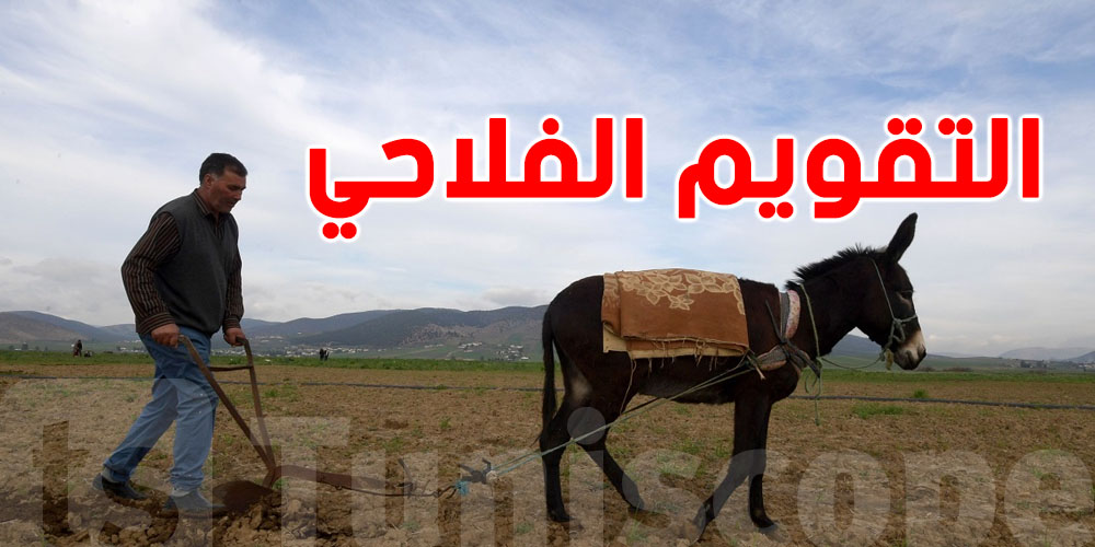 هام: كل ما يجب معرفته عن رُزنامة التقوم الفلاحي التونسي 