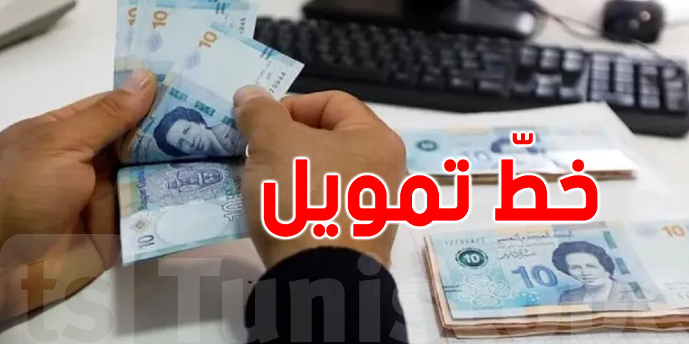 تونس: 20 مليون دينار لتمويل مشاريع شبابية صديقة للبيئة!